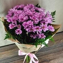 Букет цветов из:  Хризантемы #REPLACE_PRED# Куженере