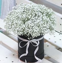 Цветочная композиция из Гипсофила в шляпной коробке в Куженере
