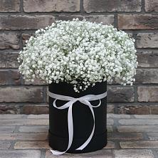 Цветочная композиция из Гипсофила в шляпной коробке в Куженере